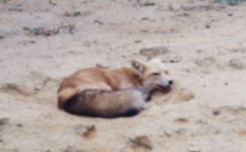 �ٱ�����ƭһ�ζ����