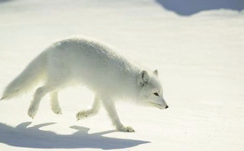 �������ѻ����ͨ��15ƪ