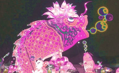 【精华】看花灯日记三篇