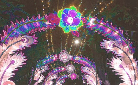 【精品】看花灯日记三篇