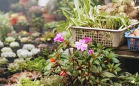 花店朋友圈的文案