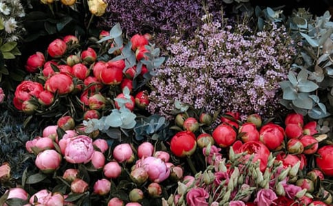 花店走心文案优秀