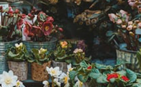 �仨��ľ���