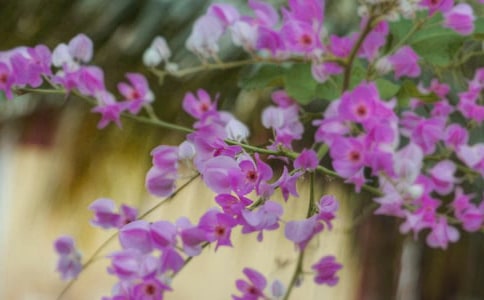 ���ڼ�����Ļ�������