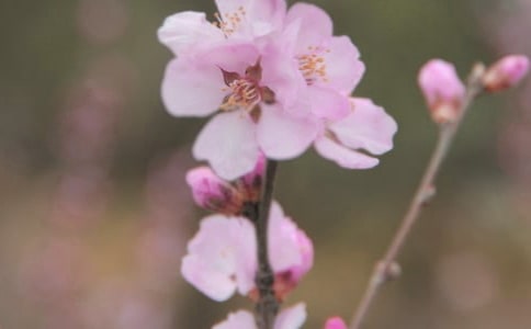 �����еĻ�������