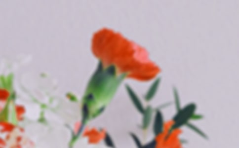 д���������(13ƪ)