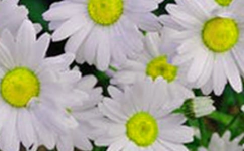 �������еĻ�������ͨ��15ƪ