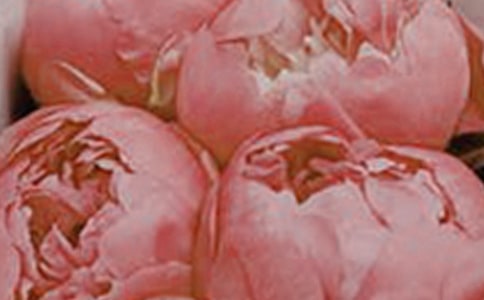 祖国的花朵是要用心去爱护的