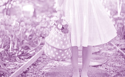 国王的花童话故事