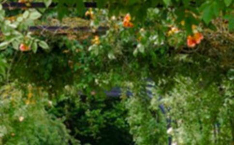 ���漣��԰�������