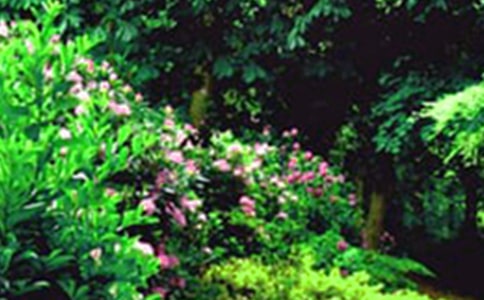 ���л�԰����