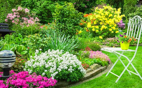 空中花园作文15篇