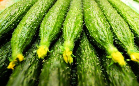 �ƹϵ���������9ƪ