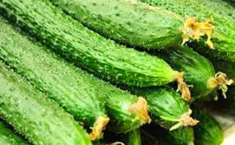 黄瓜的自述作文【精华12篇】