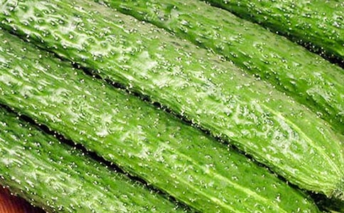 �ƹ���������