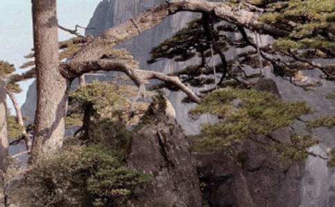 ����������д��ɽ������15ƪ