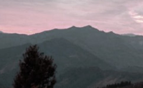 ��ɽд������