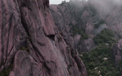 黄山松诗歌阅读理解答案