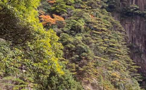 ��ɽ�μ����ģ���ȫ15ƪ��