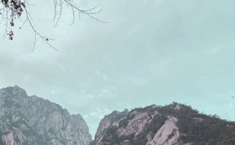 ��ɽ�μ����ġ�����