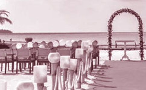 �μӻ�������15ƪ