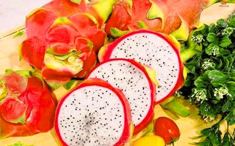 喜欢火龙果的作文必备【3篇】