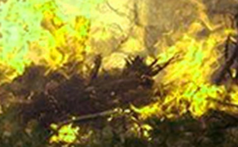 ����Ӧ�������ܽ�10ƪ