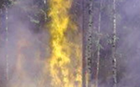 ����Ӧ�������ܽ� 15ƪ