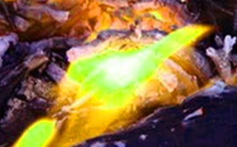 Ԥ�������ĵ����