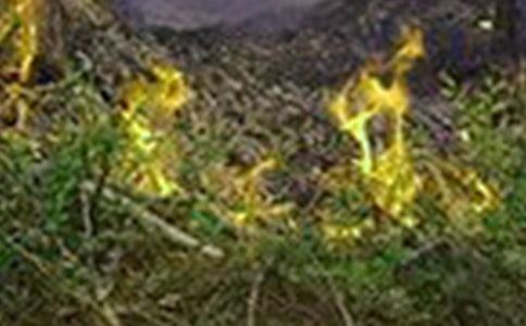 ���ȣ�����Ӧ��Ԥ�������ܽ�