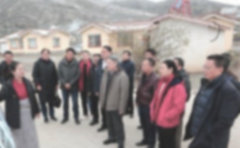 ����ɲ������ĵ�