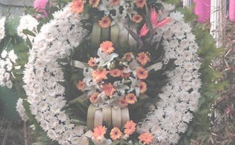 ����Ӣ�ҵ�����