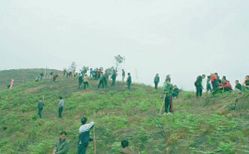 ��������ļ�����15ƪ��