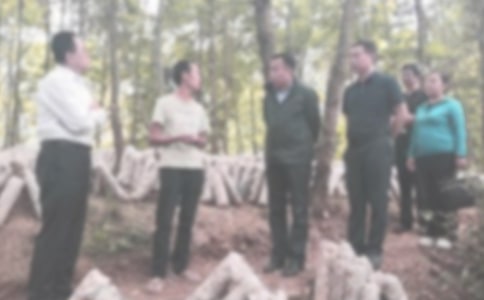 有关违纪检讨书