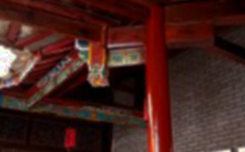 陈家祠心得体会通用