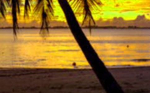 ����ʵ���ĵ�