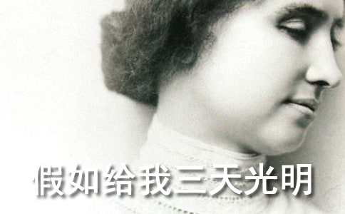 �����������������������