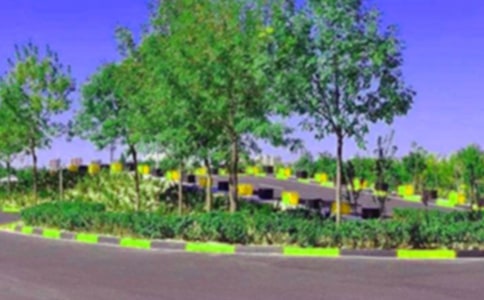 驾校个人工作总结