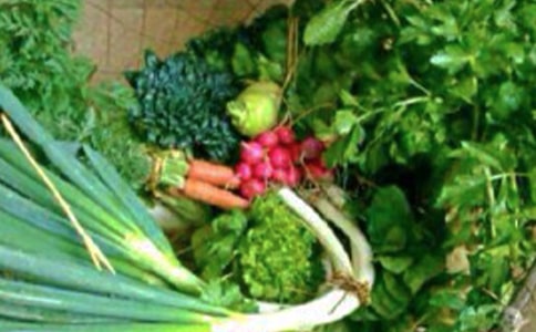 ���־����������������̰�ͨ��