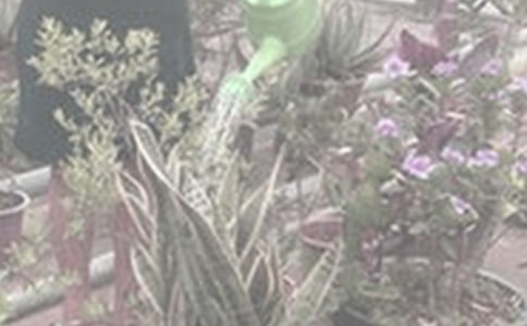 ���ڽ�������