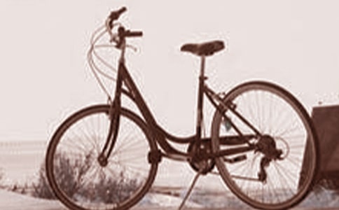 ��̤�����ľ�ѡ15ƪ