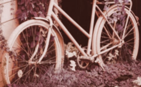 ��̤������