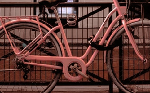 脚踏车作文(15篇)