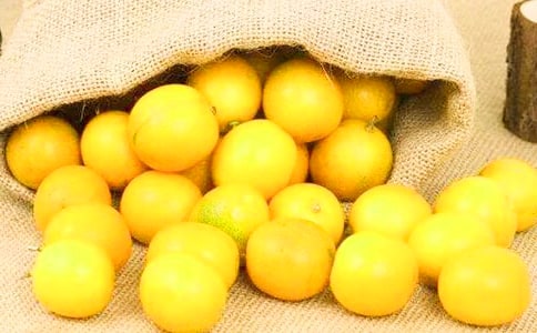 ��۵�����(15ƪ)