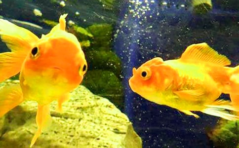 С�������ġ����㡿