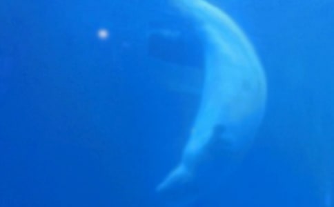 ���������(15ƪ)