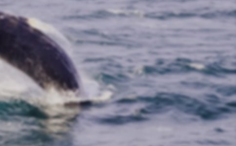 �����������������������