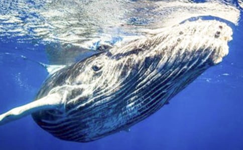 ���������15ƪ