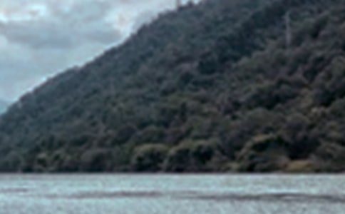 ��д��ɫ�ĳ���(���15ƪ)