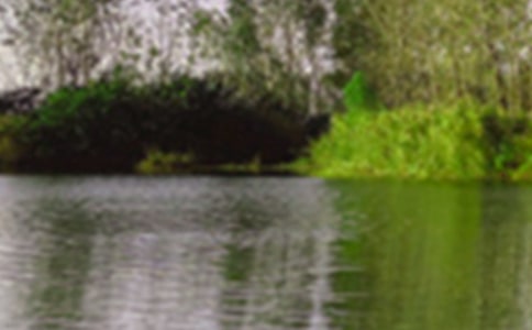 公园一年四季的景色作文(精选21篇)